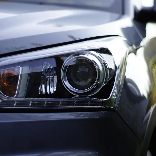 大发彩票老虎机